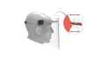 Secure Shield - Professional Face Shield